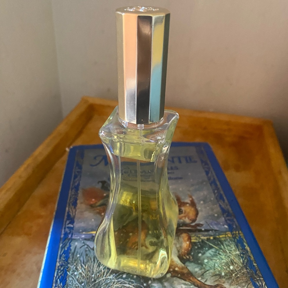 GIORGIO BEVERLY HILLS EDT 100ml WOODY FLORAL ELEGANT VINTAGE Perfume RETRO